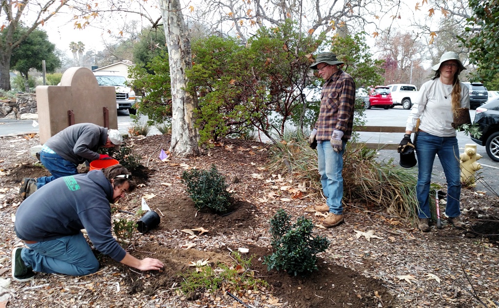 Clyde, Victor, Paul and Meg planting the entrance!